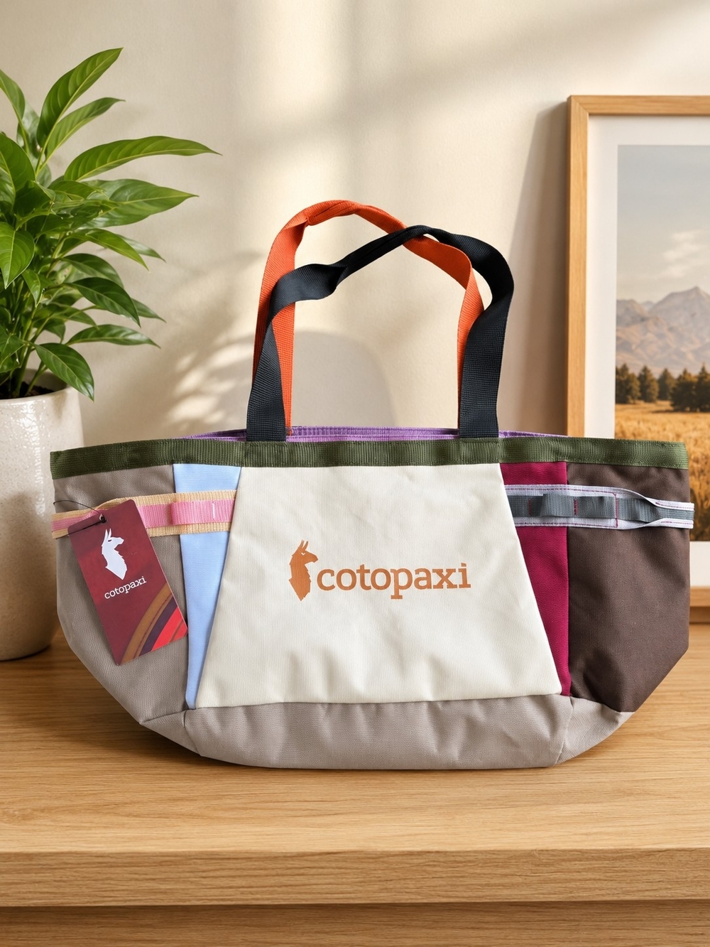 cotopaxi Multicolor Canvas Tote Bag 30L